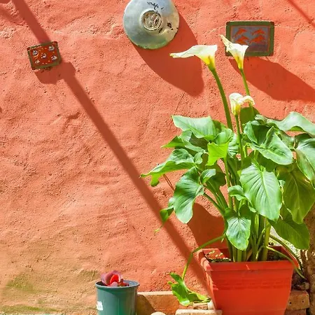 Victoria Old Town Willa