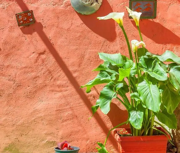 Victoria Old Town וילה